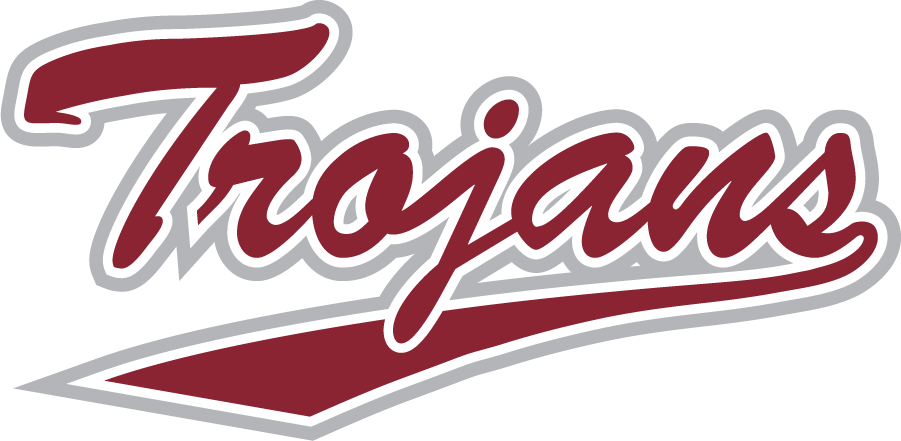 Troy Trojans 2019-Pres Wordmark Logo v3 diy iron on heat transfer